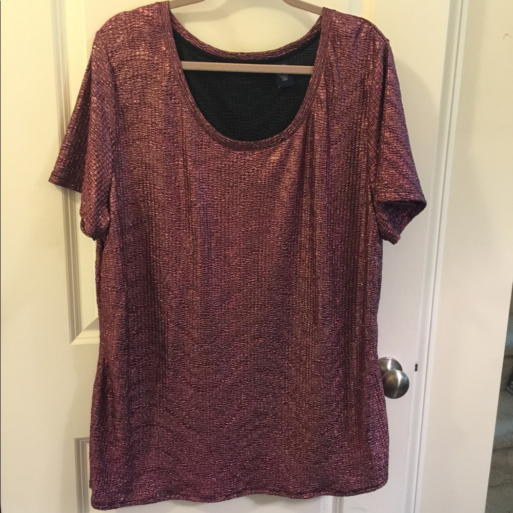 NWOT sparkle glimmer blouse